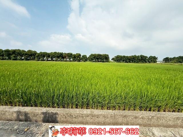 新營農地-9