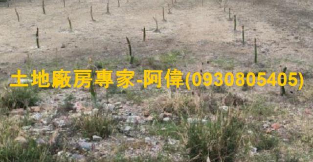 大寮農地-1