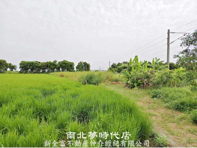 新營農地-2