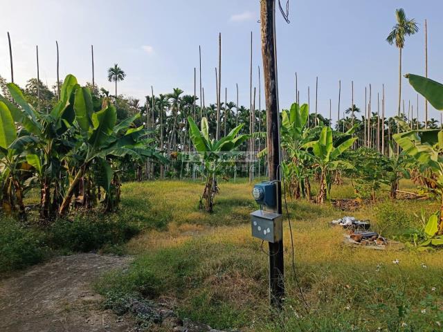 中埔農地-1