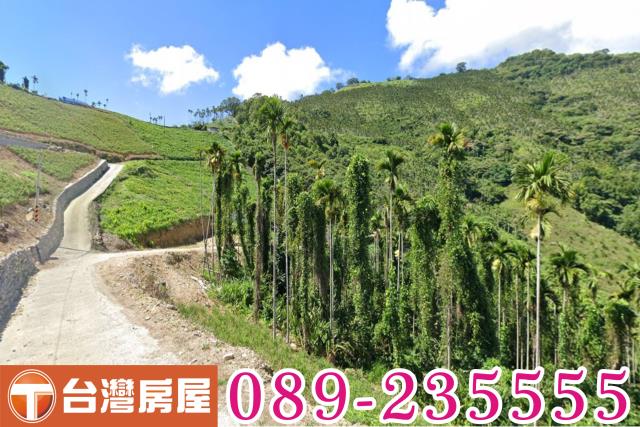 台東太麻里農地-2