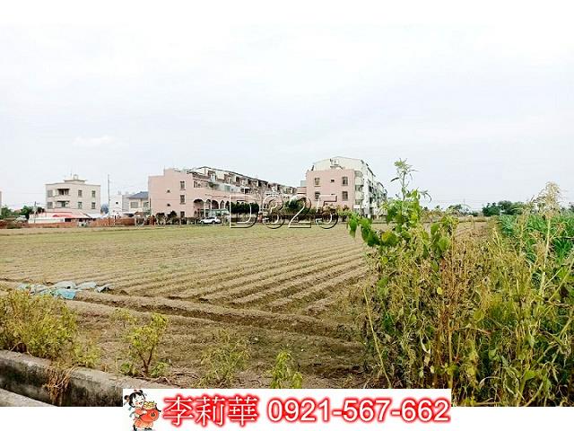 台南佳里農地-10