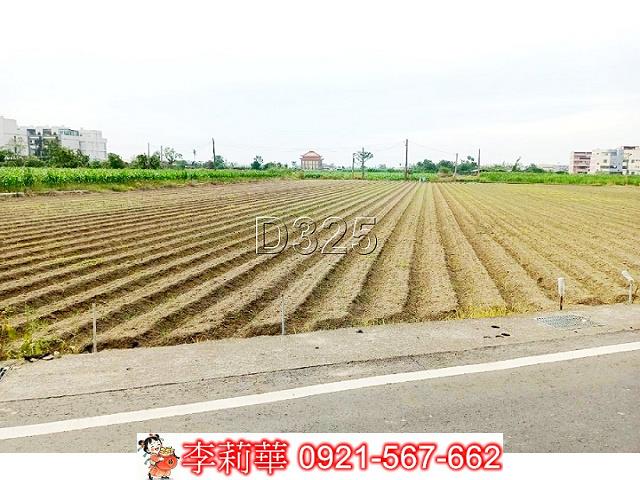 台南佳里農地-11