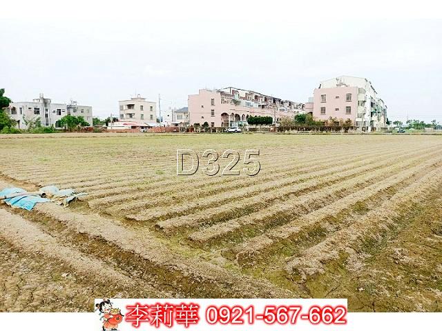 台南佳里農地-7