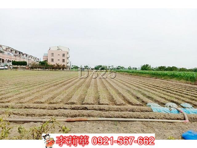 台南佳里農地-9