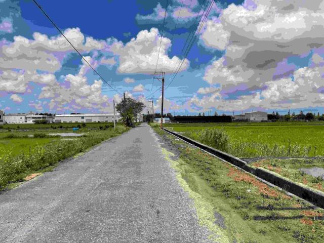 台南新化農地-3