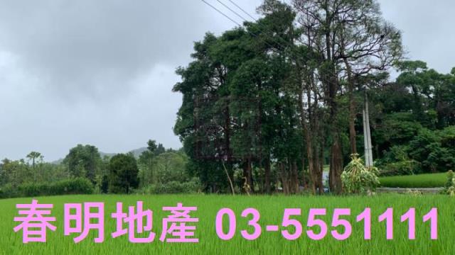 新竹農地-1