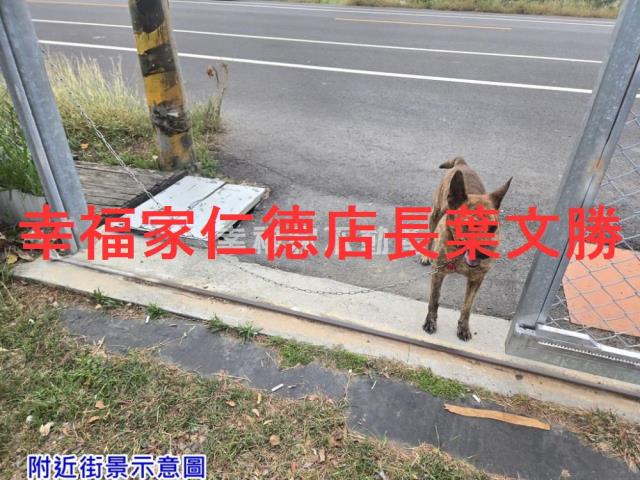 台南佳里農地-7