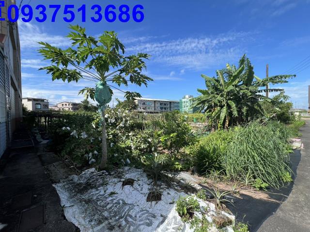 宜蘭宜蘭市農地-2