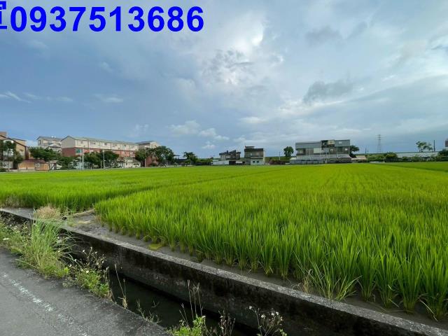 宜蘭宜蘭市農地-1