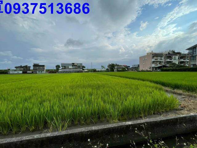 宜蘭宜蘭市農地-2