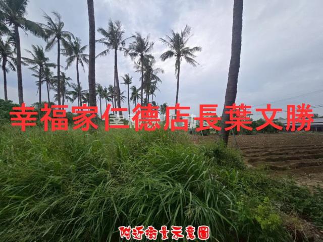 台南仁德農地-11