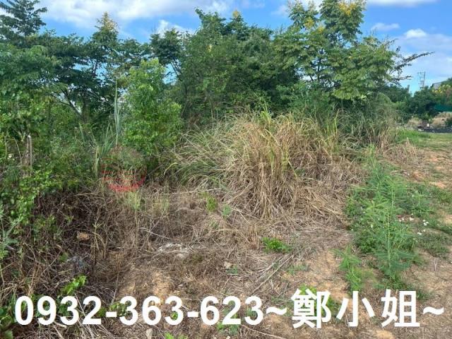 蘆竹農地-10
