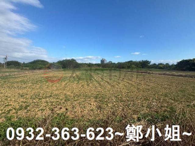 楊梅農地-4