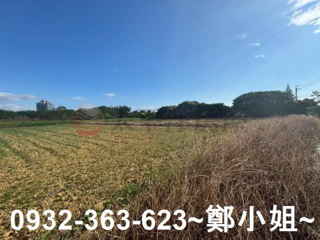 楊梅農地-5