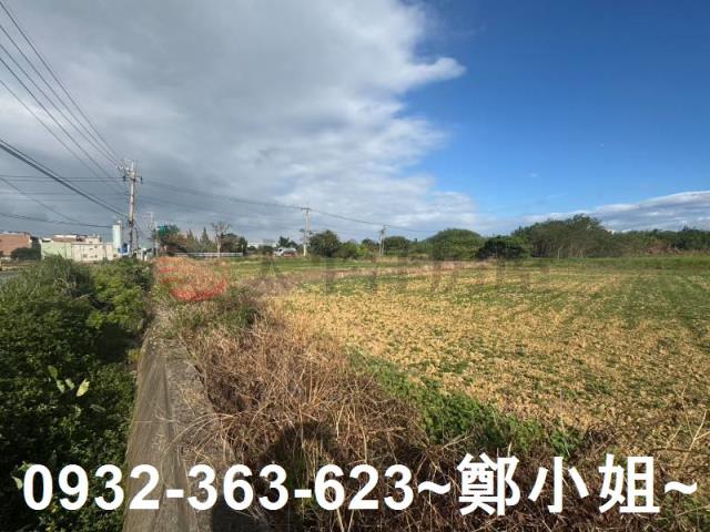 楊梅農地-6