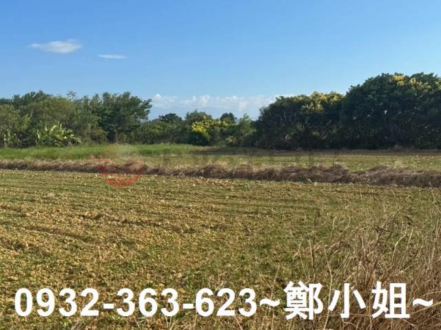 楊梅農地-7