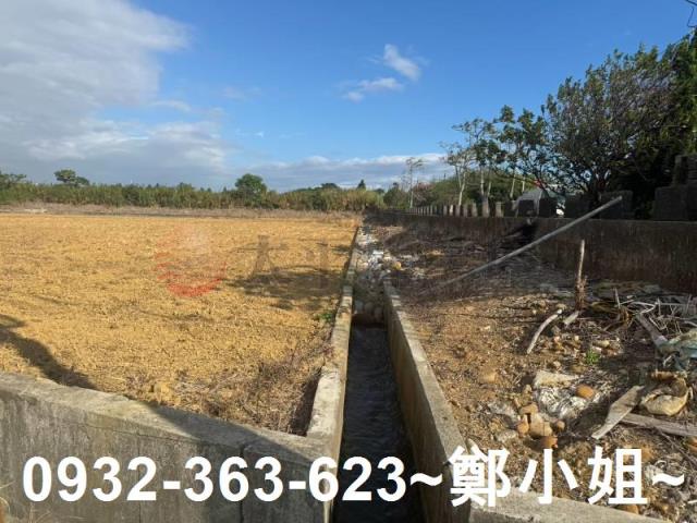 楊梅農地-9