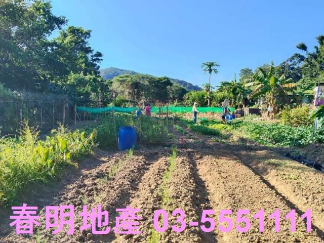 新竹關西農地-10