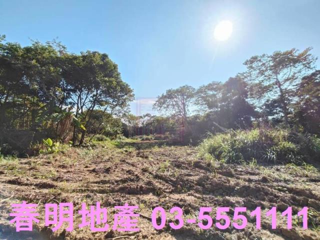 新竹關西農地-2