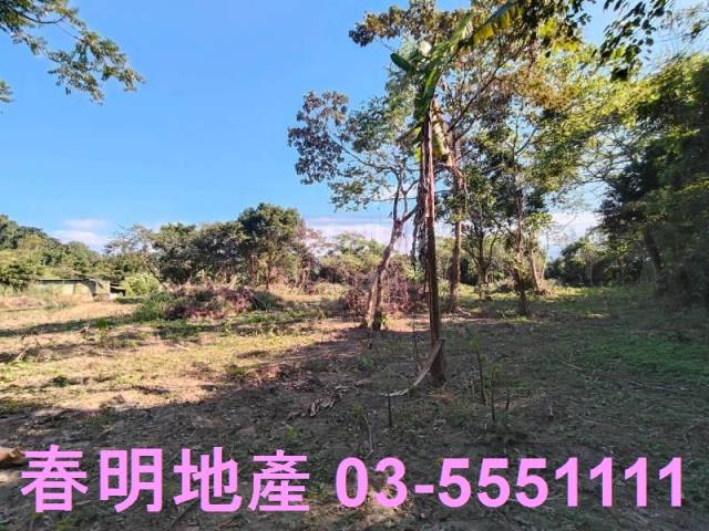 新竹關西農地-6