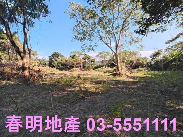 新竹關西農地-7