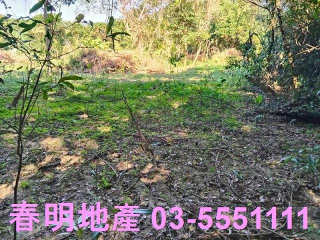 新竹關西農地-9