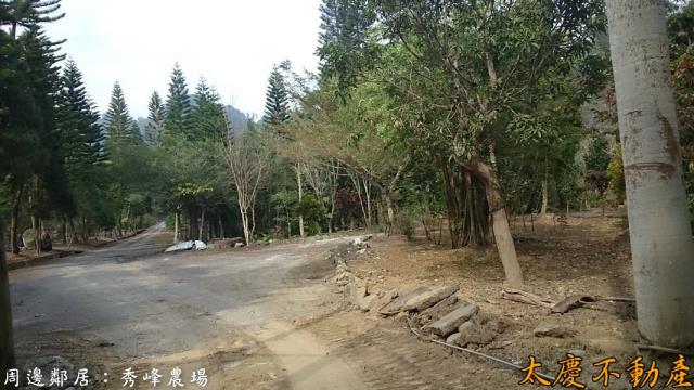 南投鹿谷農地-4