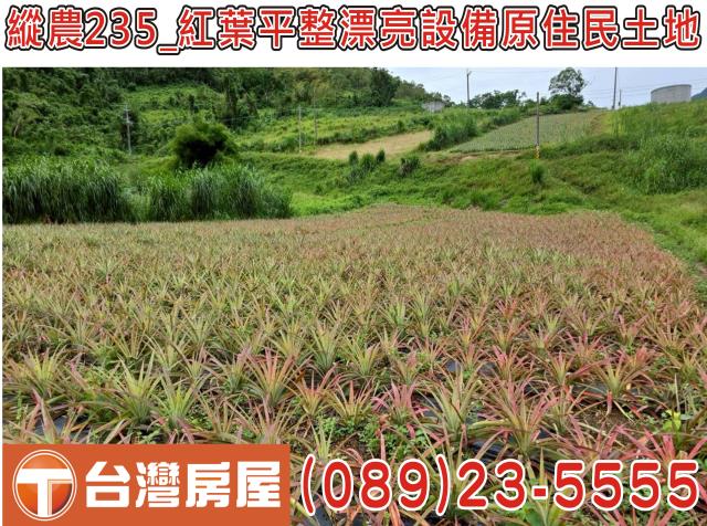 延平農地-6