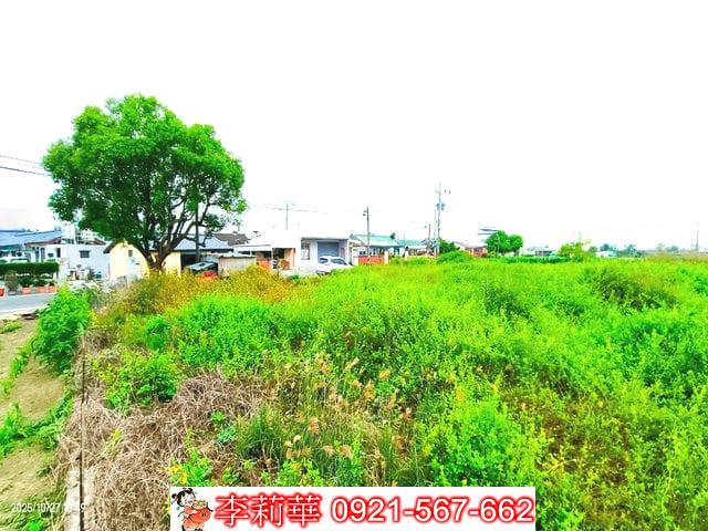 西港農地-6