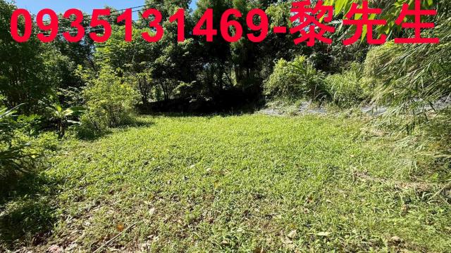 新竹關西農地-4