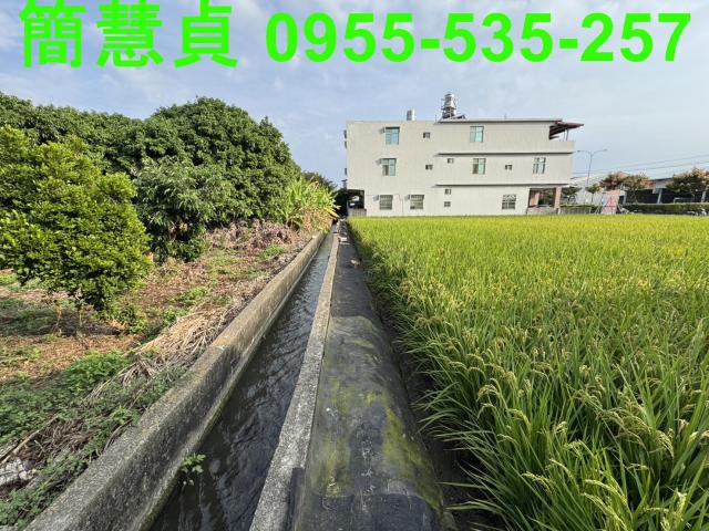 南投草屯農地-4