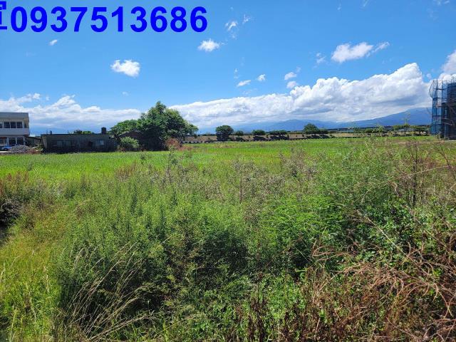 宜蘭宜蘭市農地-15