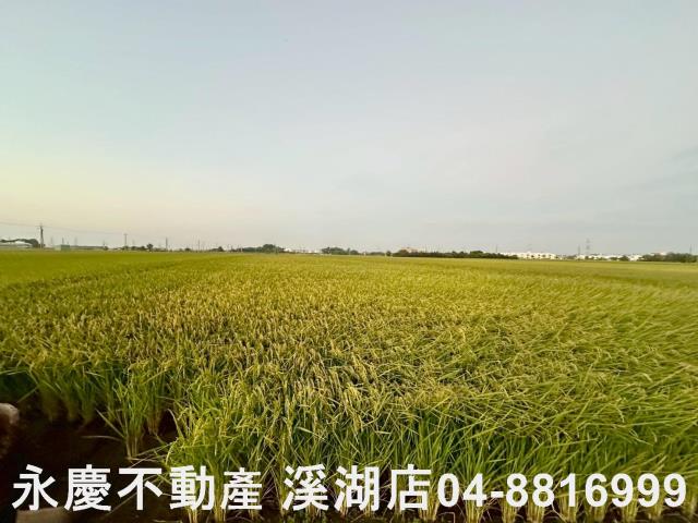 彰化農地-7