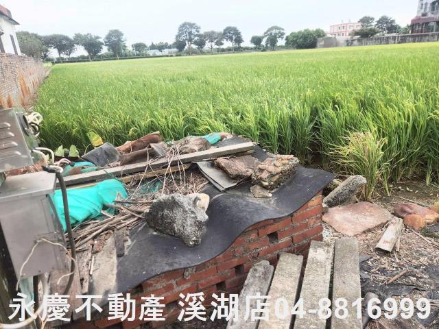 彰化埤頭農地-2
