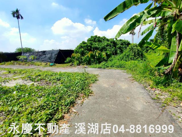 彰化永靖建地-5