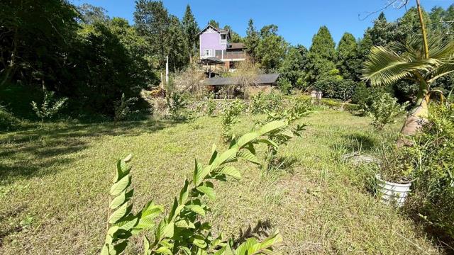 新竹橫山農地-2