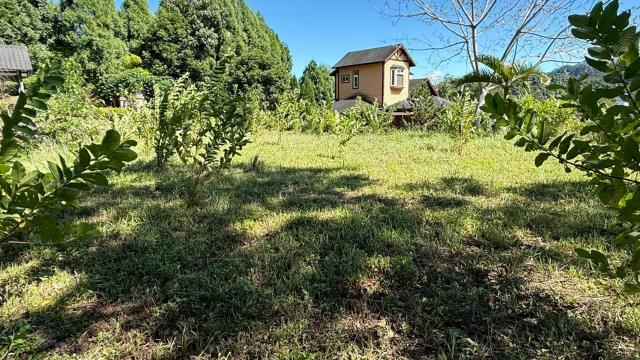 新竹橫山農地-5