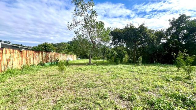 新竹竹東農地-11