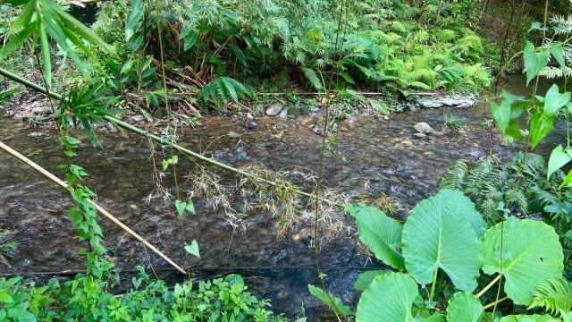 新竹竹東農地-8