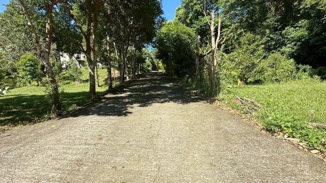 新竹關西農地-14