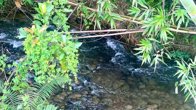 新竹竹東農地-14