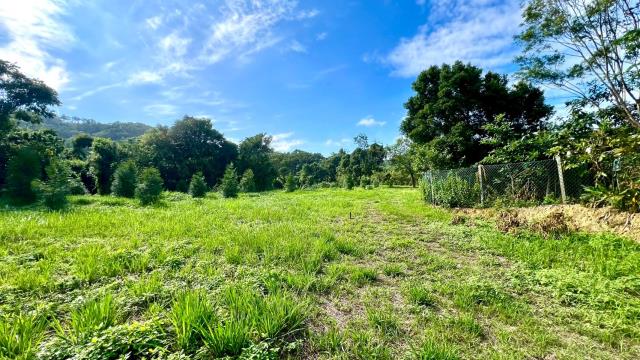 新竹竹東農地-3