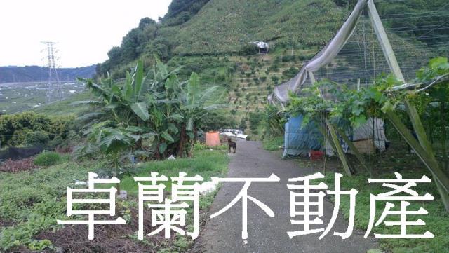 苗栗卓蘭農地-6