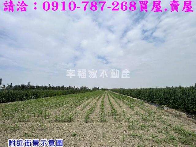 台南農地-6