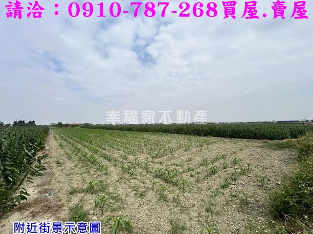 台南農地-9