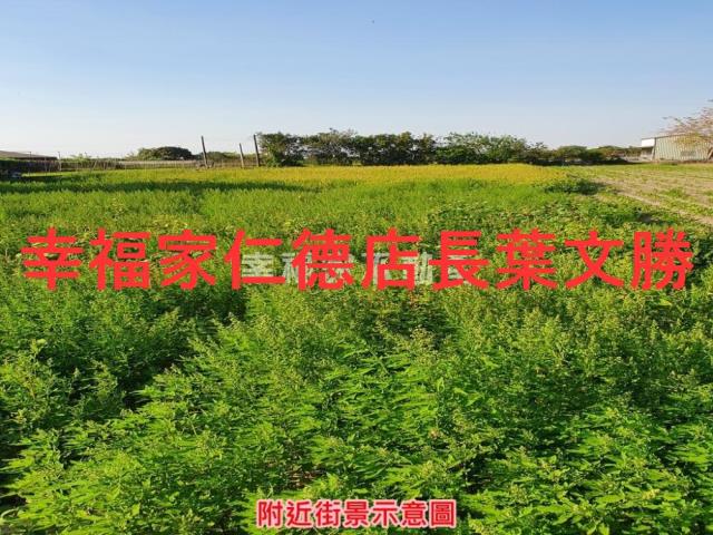 台南善化農地-15