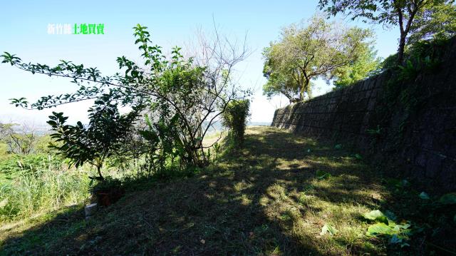 新竹農地-11