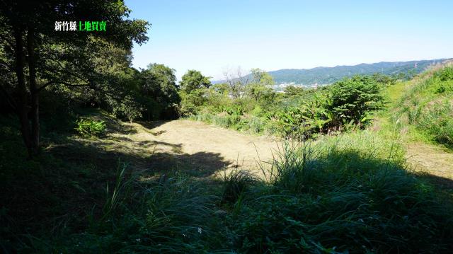 新竹農地-12