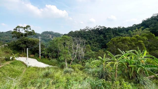 新竹寶山農地-14